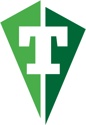 TMS Software Delphi  Components 