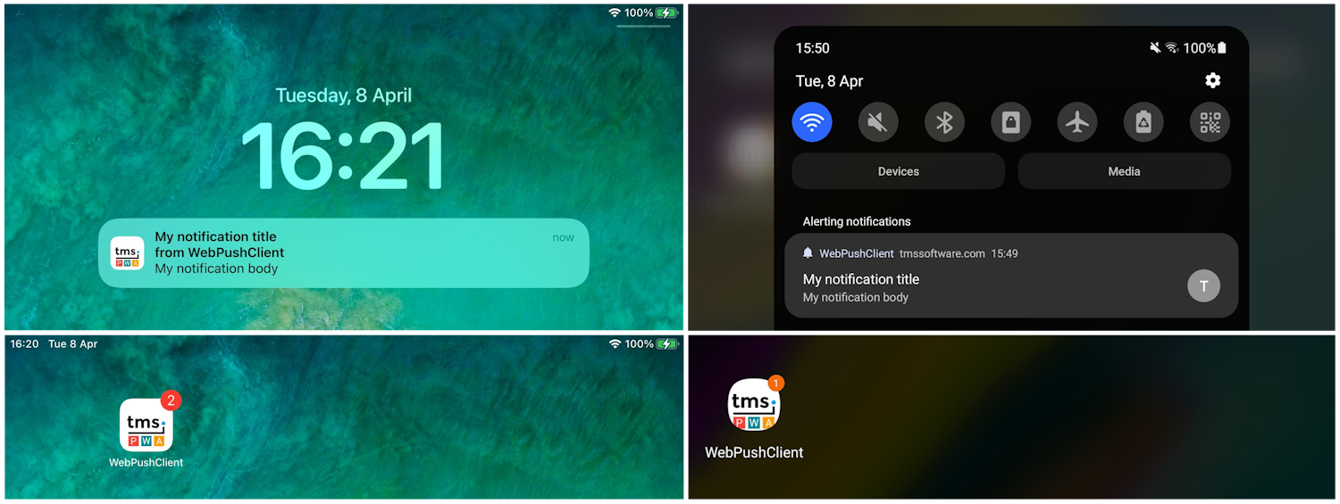 TMS Software Delphi  Components 